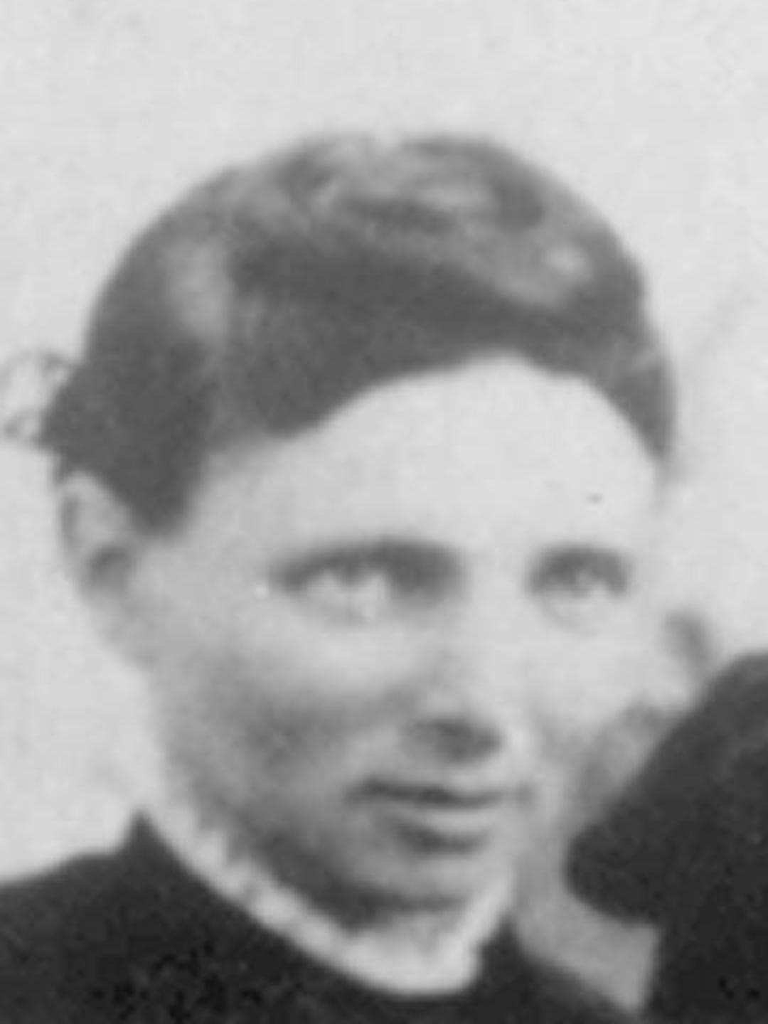 Christine Marie Petersen (1857 - 1932) Profile